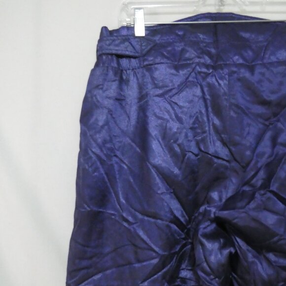 SCHNEIDER Dynamic | size 34 | Purple Ski / Snowboard Pants - Picture 10 of 16